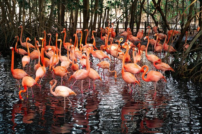 National Aviary Tour