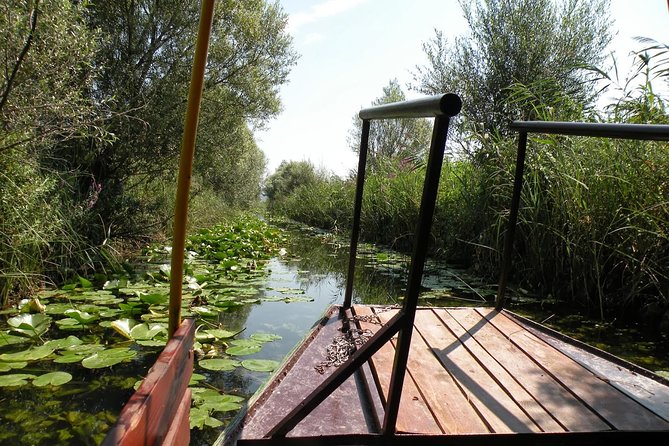 National Bird Reserve Hutovo Blato Photo Safari