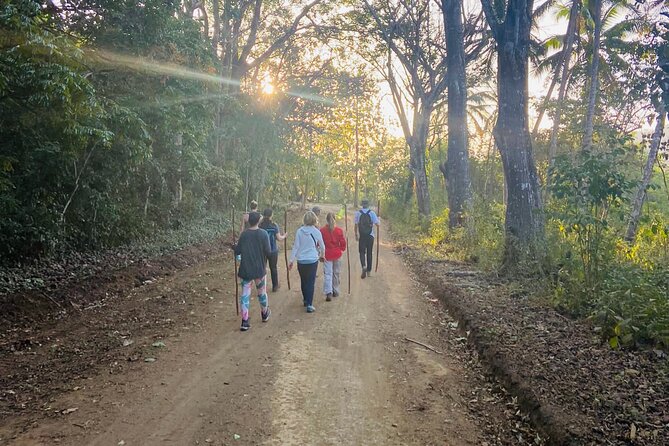 Nature & Forest Therapy Guided Walk in Puerto Viejo