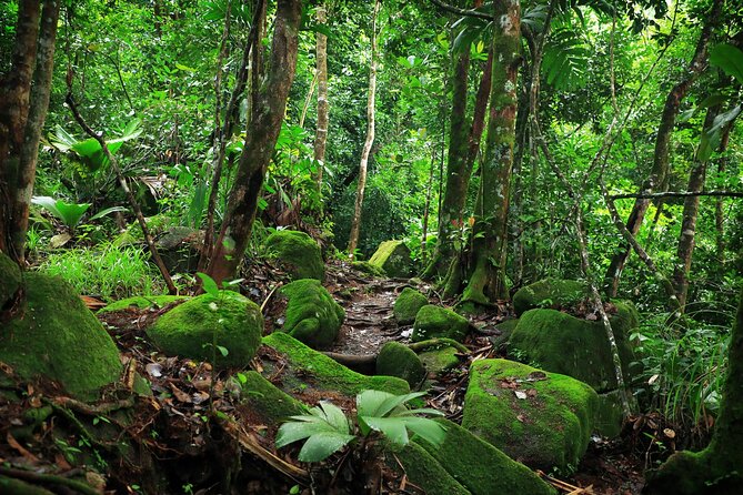 Nature Trail – Morne Blanc (Mahe)