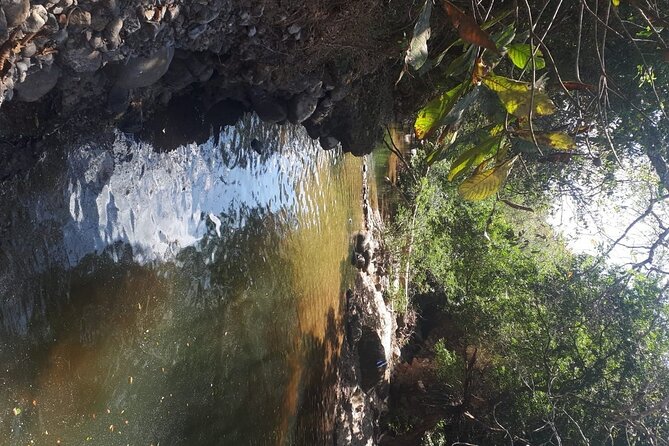 Nature Trail, River in a Wellness Farm & Santa Clara Beach