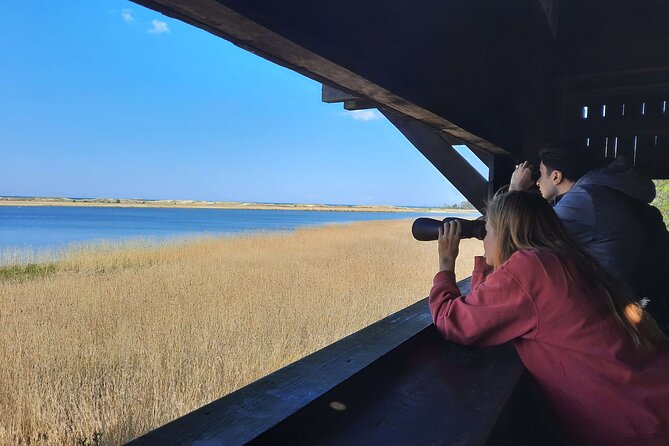 Nature Walk and Wildlife Tour Review