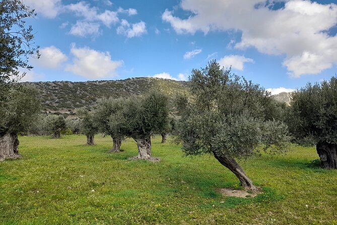 Naxos: Countryside Hike Among Villages & Byzantine Churches