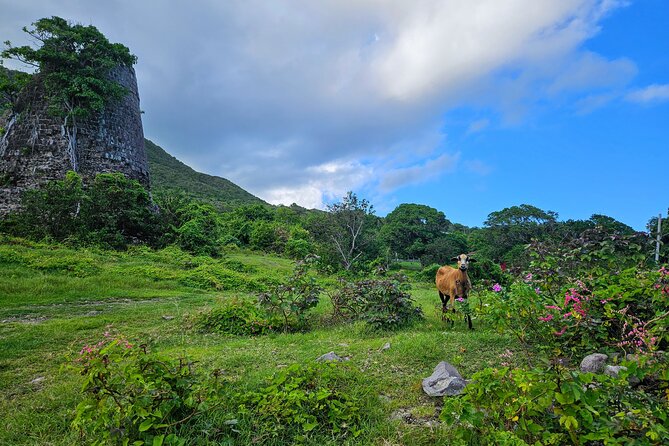 Nevis Island Road Trip