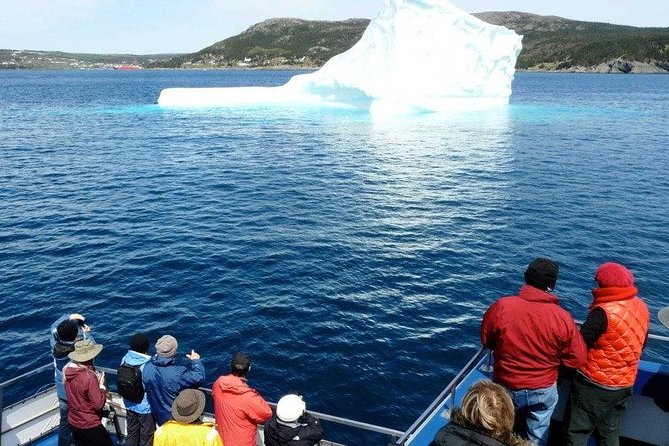 Newfoundland Puffin and Whale Watch Cruise