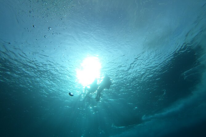 Night Diving At Caribbean Sea
