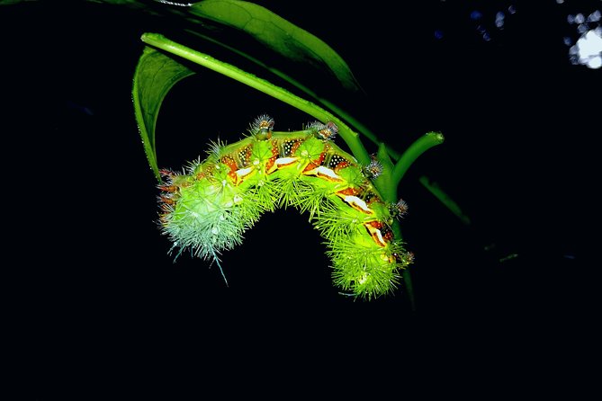 2 Best Guided Tours In Drake Bay