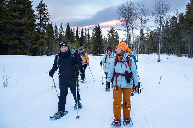 Night Snowshoeing Near Castle Mountain Resort With Local Guide - Whats Included in the Experience