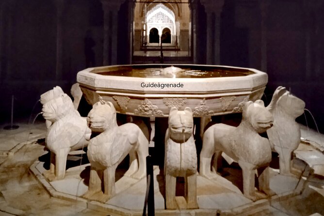Night Tour of Alhambra and the Nasrid Palaces - Overview of the Night Tour