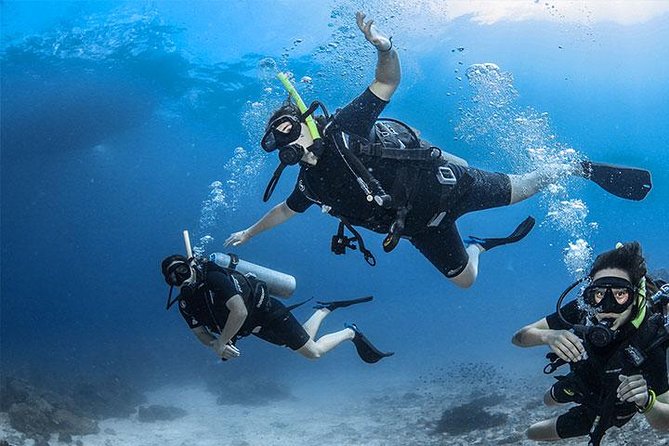 Non Certified Diving Experience Plus Transportation