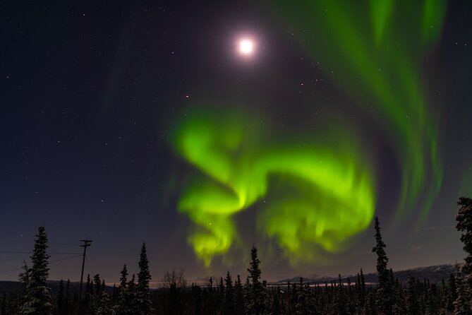 Northern Lights Adventure of a Liftetime From Anchorage