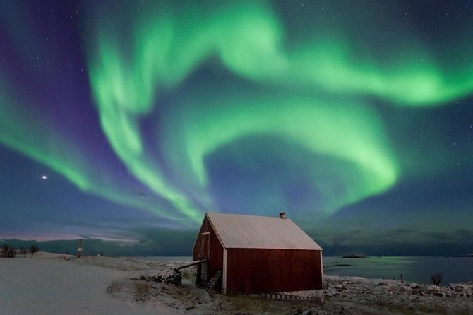 Northern Lights Hunt Including Snacks on Campfire From Levi