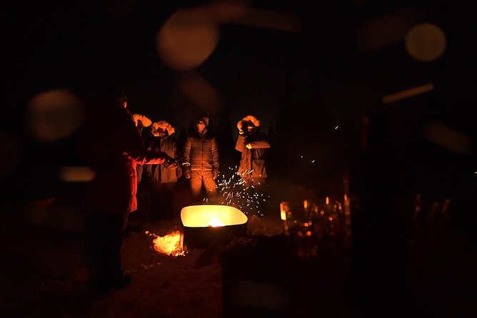 Northern Lights Winter Nights Adventure