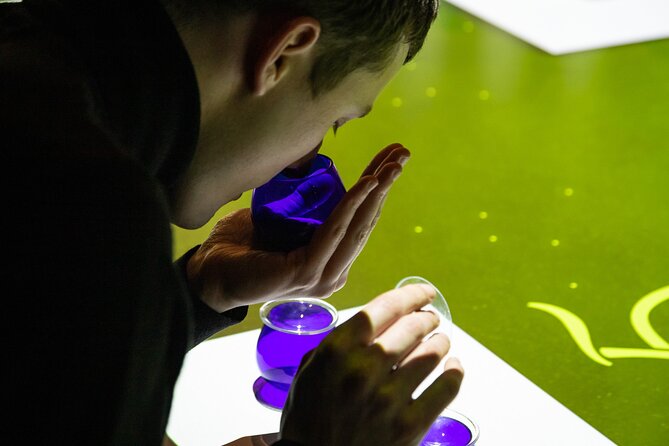 Oil Tourism at Finca La Pontezuela - Overview of the Olive Oil Experience