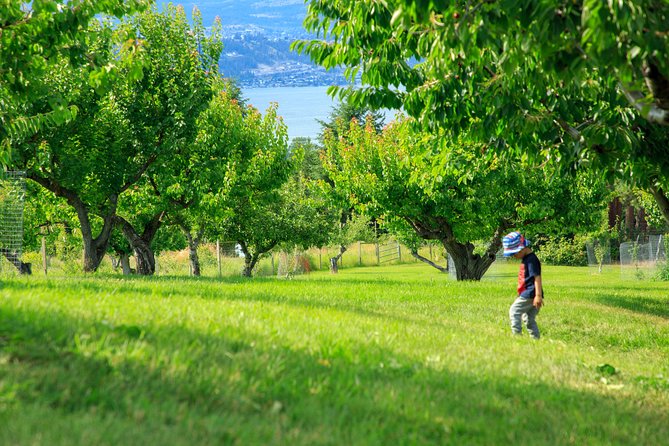 Okanagan 2 Days Sightseeing and Wine Tasting Tour - Exploring Kelownas Waterfront
