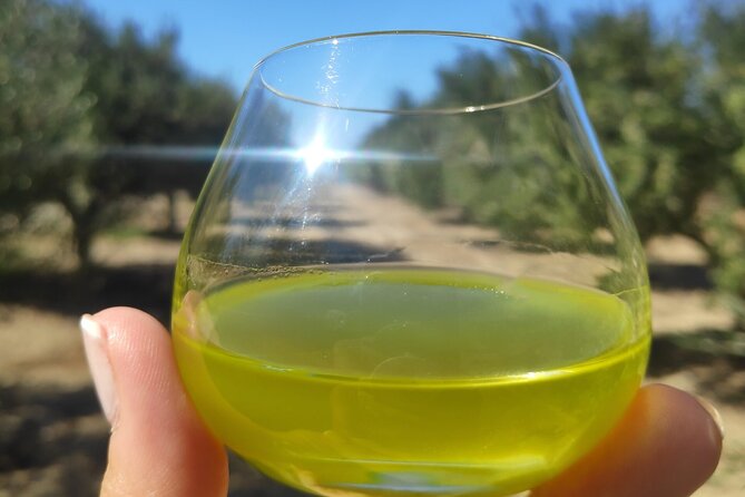 Olive Oil Tasting at the Mykonian Farm - Exploring the Mykonian Farm