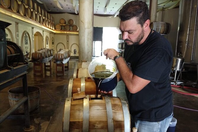 Olive Oils, Gourmet Products and Wines