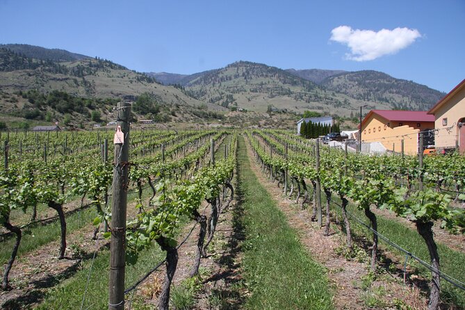 Oliver & Osoyoos Private Wine Tour - Half Day - Tour Overview