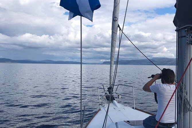 One Day Private Sailing From Oban Marina With Lunch