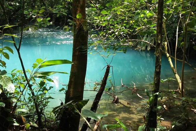 One Day Tour Celeste River From San Jose - Explore Tenorio Volcano National Park