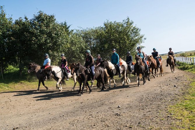 One-Hour Horseback Riding Tour Review