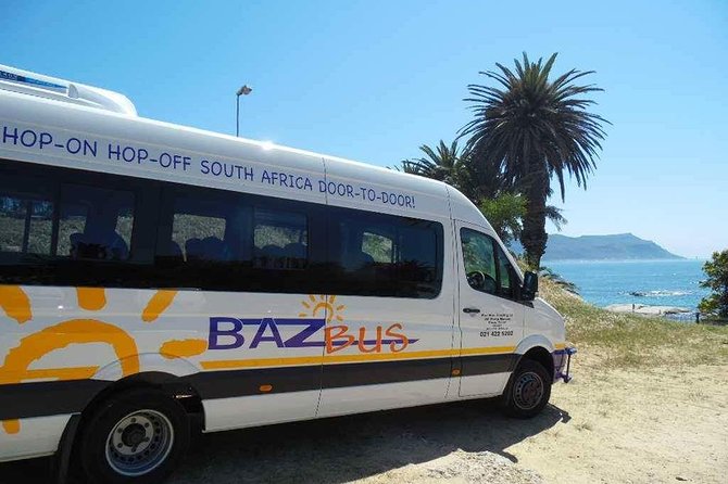 One-Way Hop-On Hop-Off Bus From Port Elizabeth to Cape Town