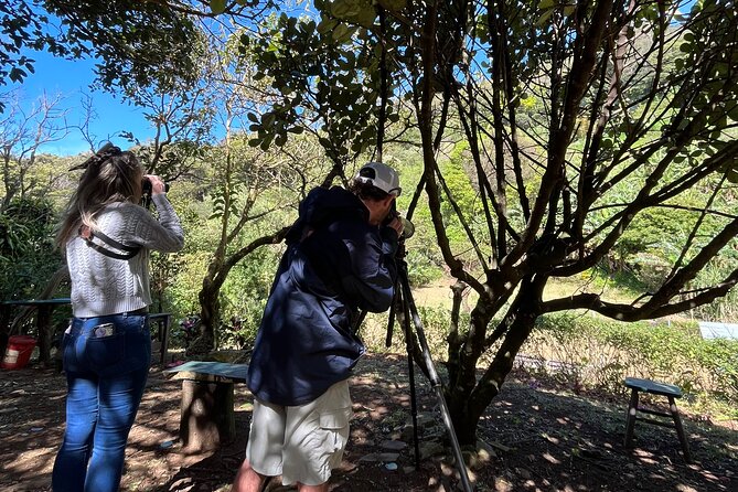 Organic Farming Volunteering Program Finca El Secreto
