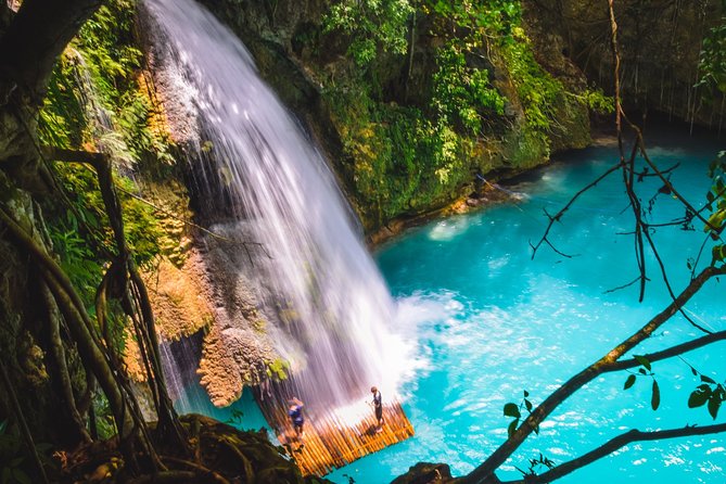 Oslob Whaleshark and Kawasan Falls Tour