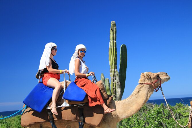 Outback Camel Ride
