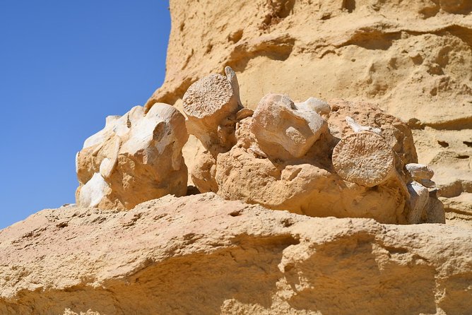 Overnight Trip to Fayyom Oasis, Wadi El-Hitan & Wadi El-Rayyan