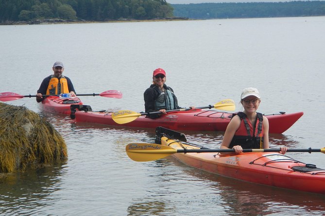 Oyster Farm & Complimentary Tasting Sea Kayak Tour in Casco Bay - Key Features and Inclusions
