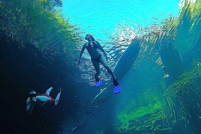 Paddle and Snorkel in Cenote – Riviera Maya
