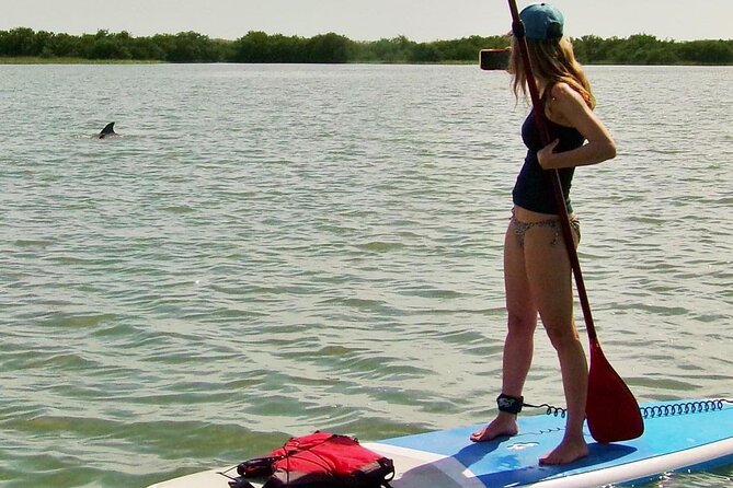 Paddle Board Dolphin Tour - Tour Overview