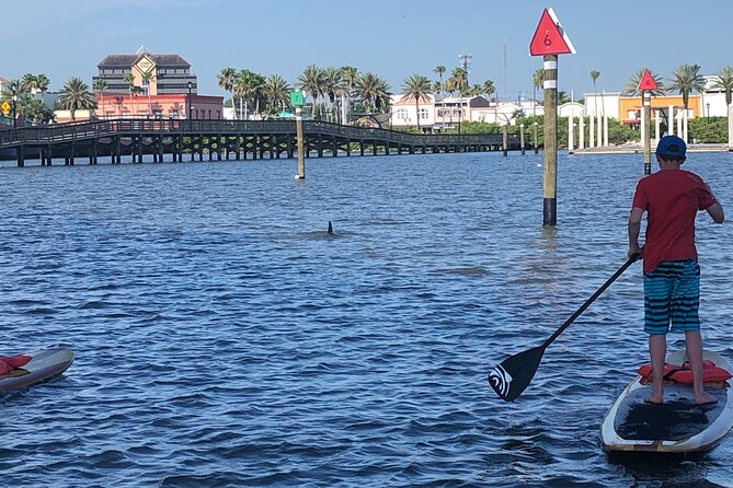 Paddle Board Rental - Location and Meeting Point