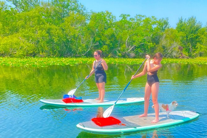 Paddle With Pups in Paradise – Paddleboard or Kayak