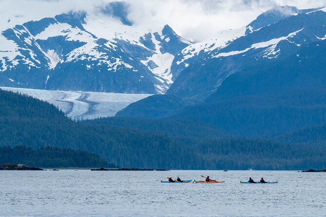Paddle With Whales! Kayak Adventure