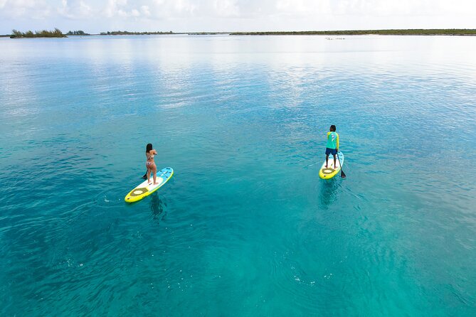 Paddleboard Mangrove Eco Tour