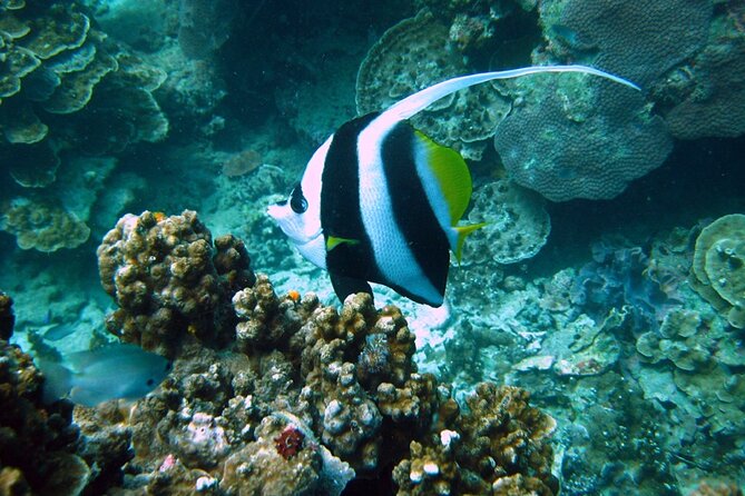 PADI Advanced Open Water Diver Course Two Days One Night Included Accommodation