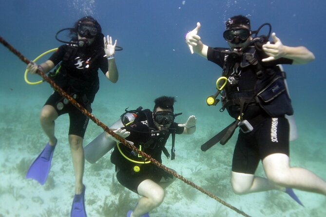 PADI Discover Scuba Diving for Divers Without Certification