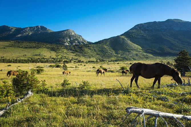 Paklenica National Park Admission Ticket - Product Information
