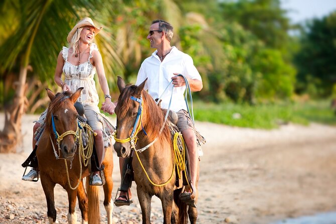 Palomino Horseback Riding Tour