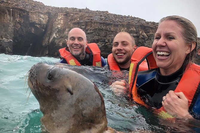 Palomino Islands Sea Lion Swimming Tour From Lima