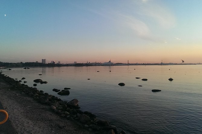 Panoramic Tour Over Tallinn