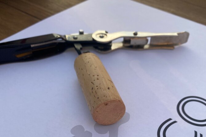 Panoramic Wine Tasting in Oltrepò Pavese