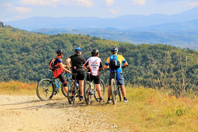 Parenzana Trail Full Day Cycling Tour From Pula, Rovinj, Poreč or Buje