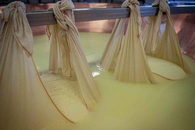 Parmigiano Reggiano Cheese Factory Tour & Tasting Experience