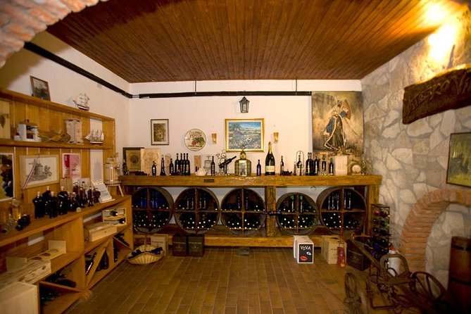 Peljesac Wine Private Day Trip From Dubrovnik