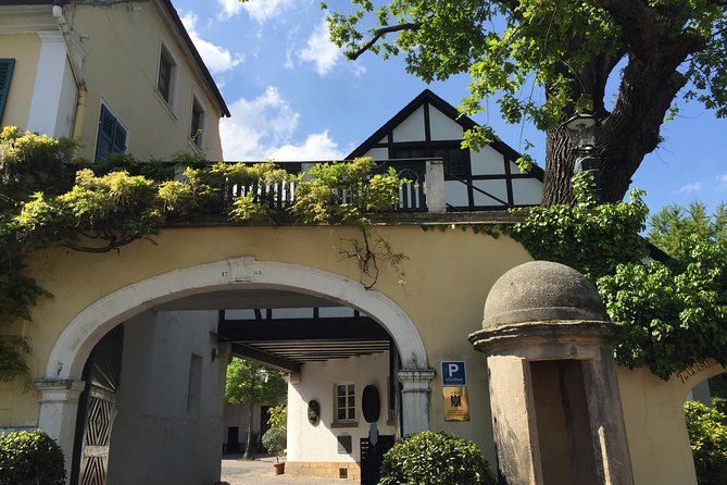 Pfalz Region Red Wine Tasting Tour  - Heidelberg - Tour Overview