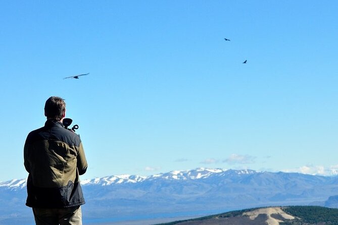 Photo Discovering Condors & Birdwatching – Full Day Tour in Private Service