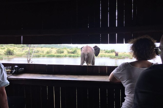 Pilanesberg Camping Safari From Johannesburg